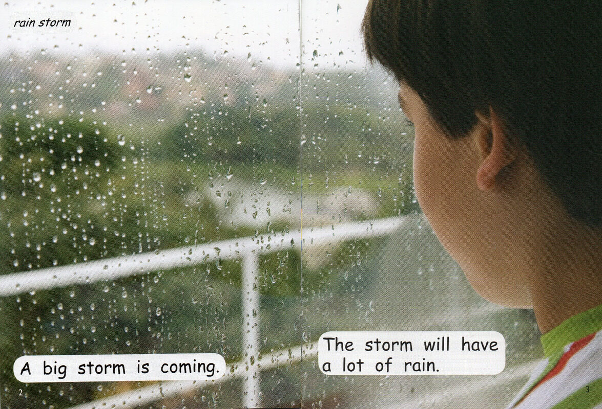 a stormy day绘本故事第3页