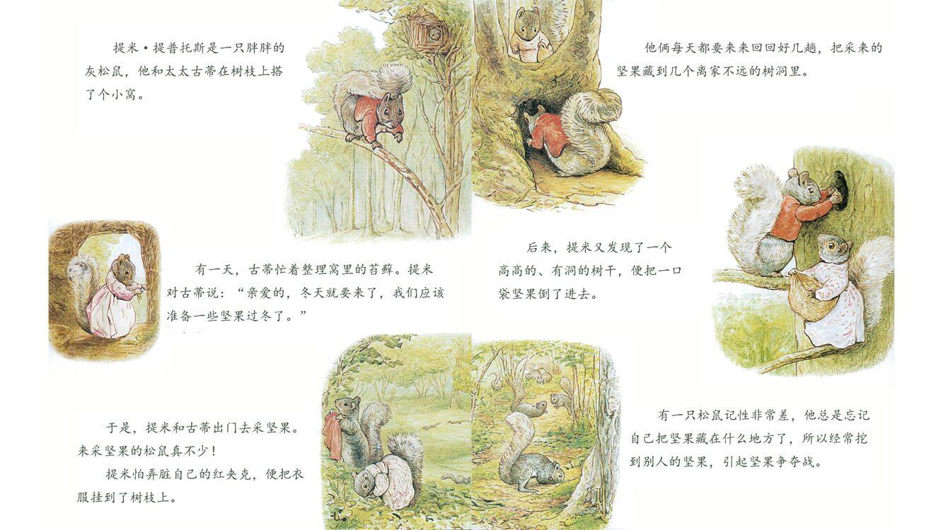 胖松鼠提米·提普托斯绘本故事第4页