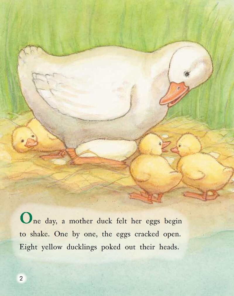 The Ugly Duckling绘本故事第3页