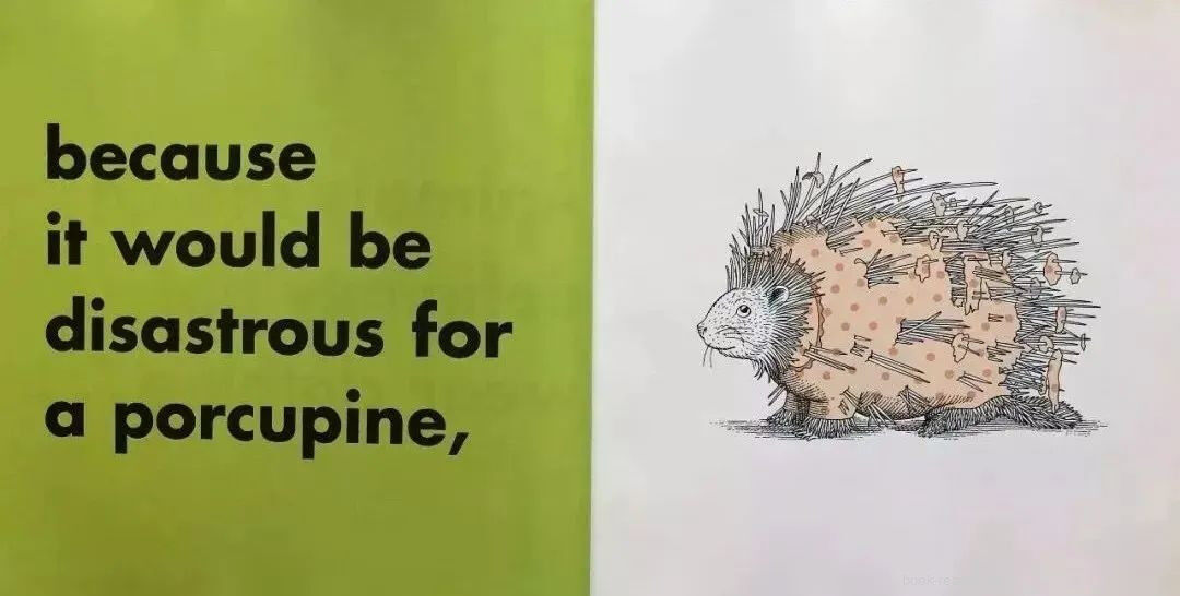 Animals Should Definitely Not Wear Clothing绘本故事第3页