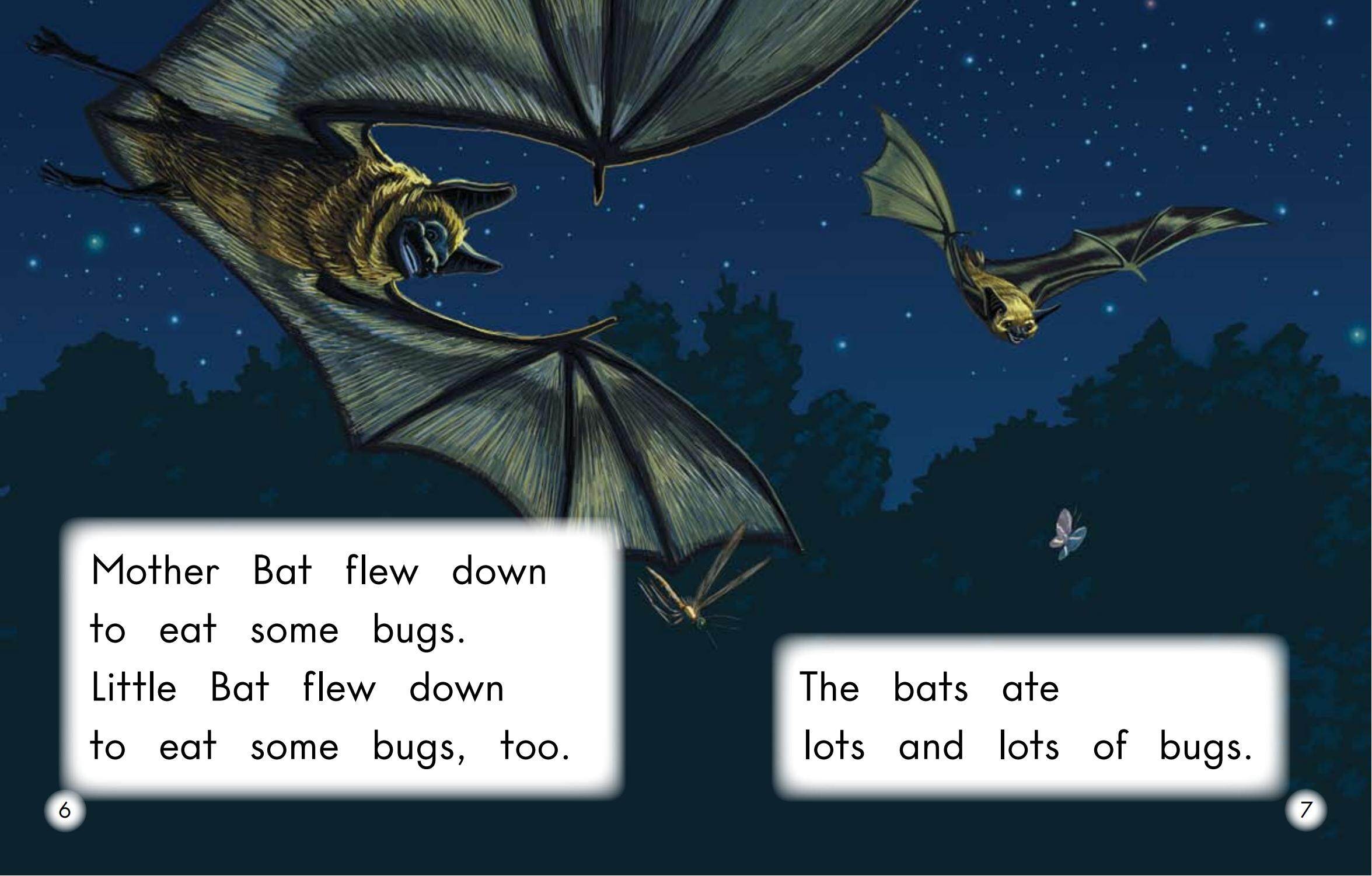 Little Bat绘本故事第5页