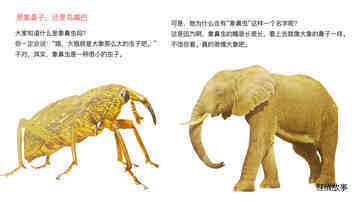 打洞专家象鼻虫绘本故事第4页