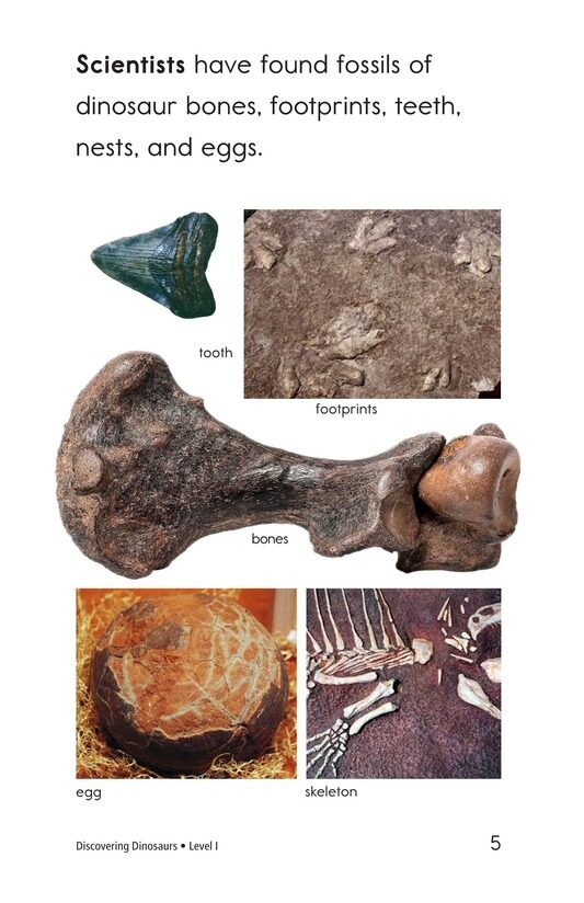 Discovering Dinosaurs绘本故事第4页
