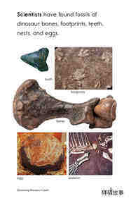 Discovering Dinosaurs绘本故事第4页