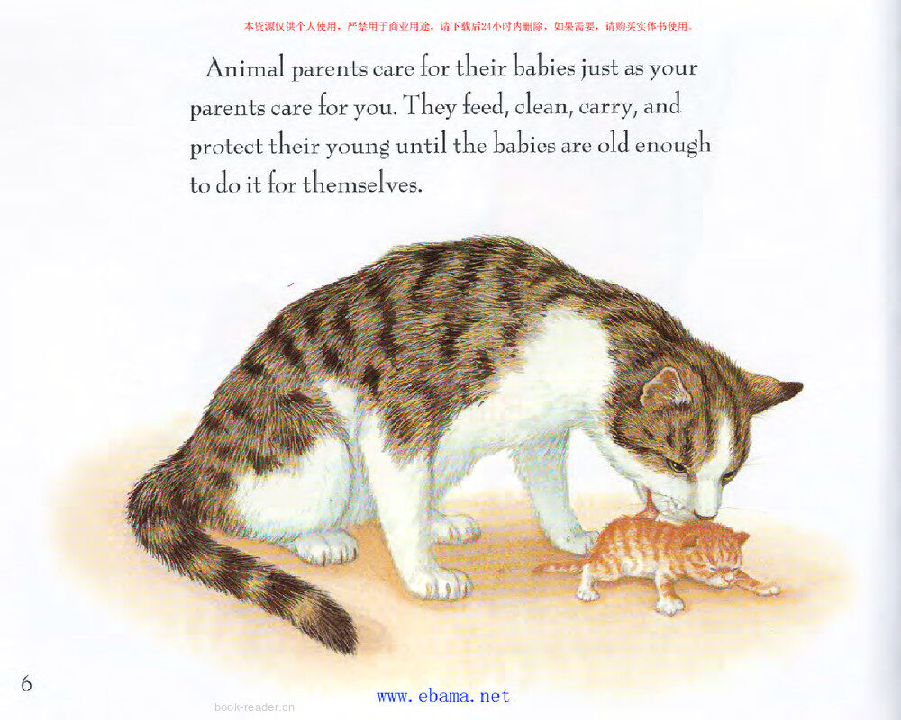 How Animal Babies Stay Safe绘本故事第4页