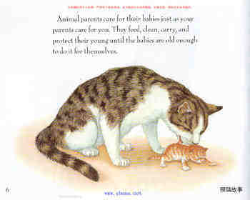 How Animal Babies Stay Safe绘本故事第4页