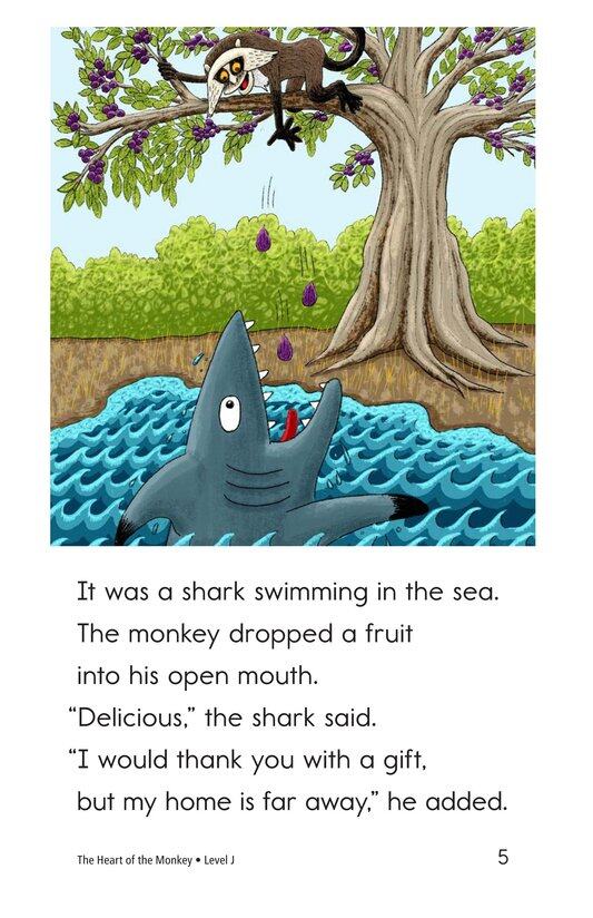 The Heart of a Monkey绘本故事第5页