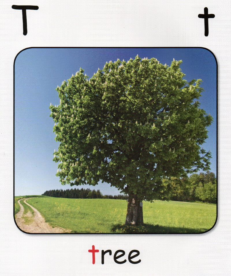 T绘本故事第4页