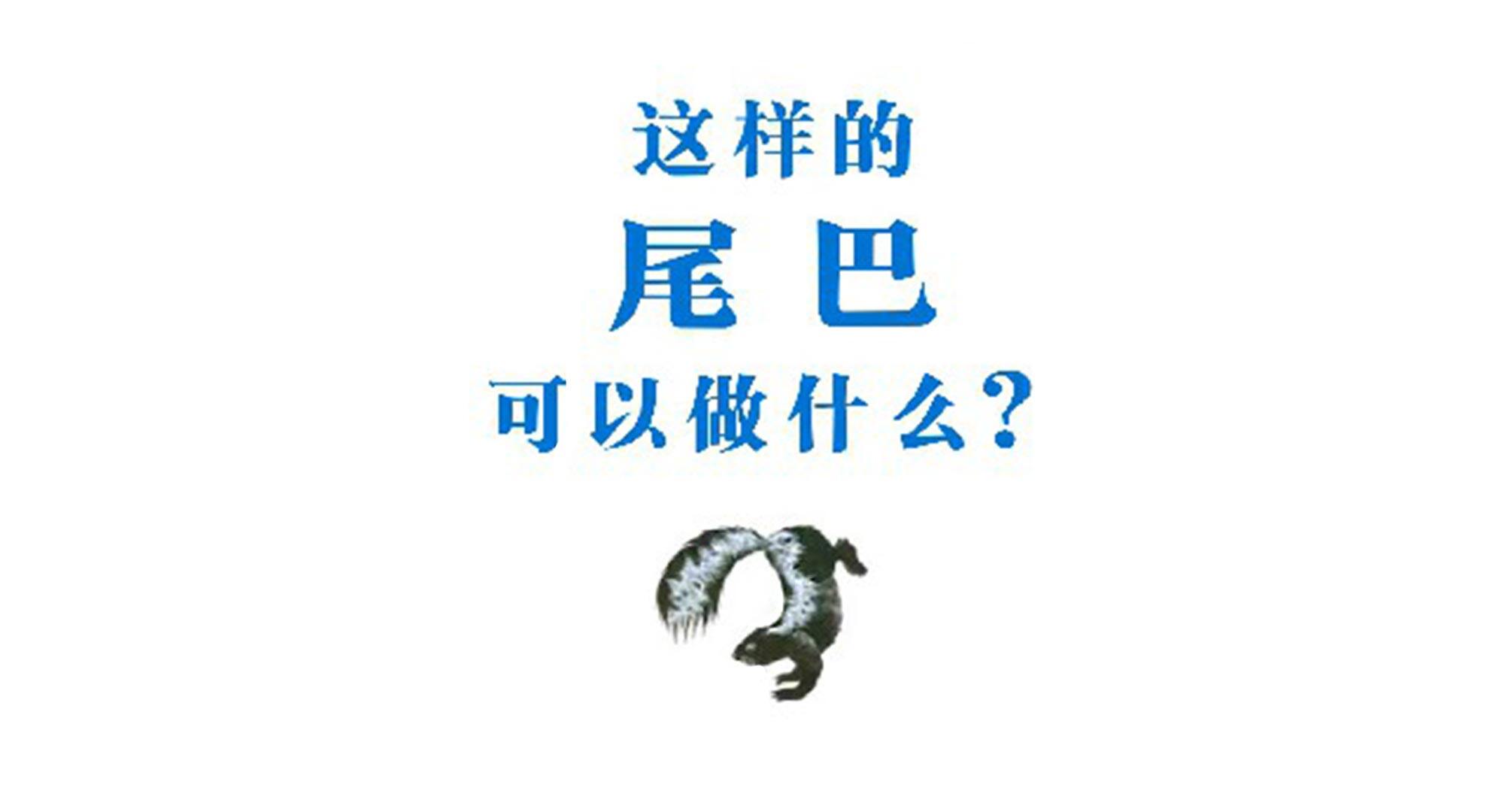 这样的尾巴可以做什么绘本故事第2页