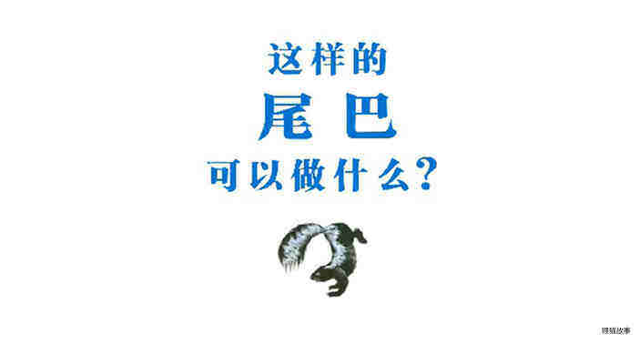 这样的尾巴可以做什么绘本故事第2页
