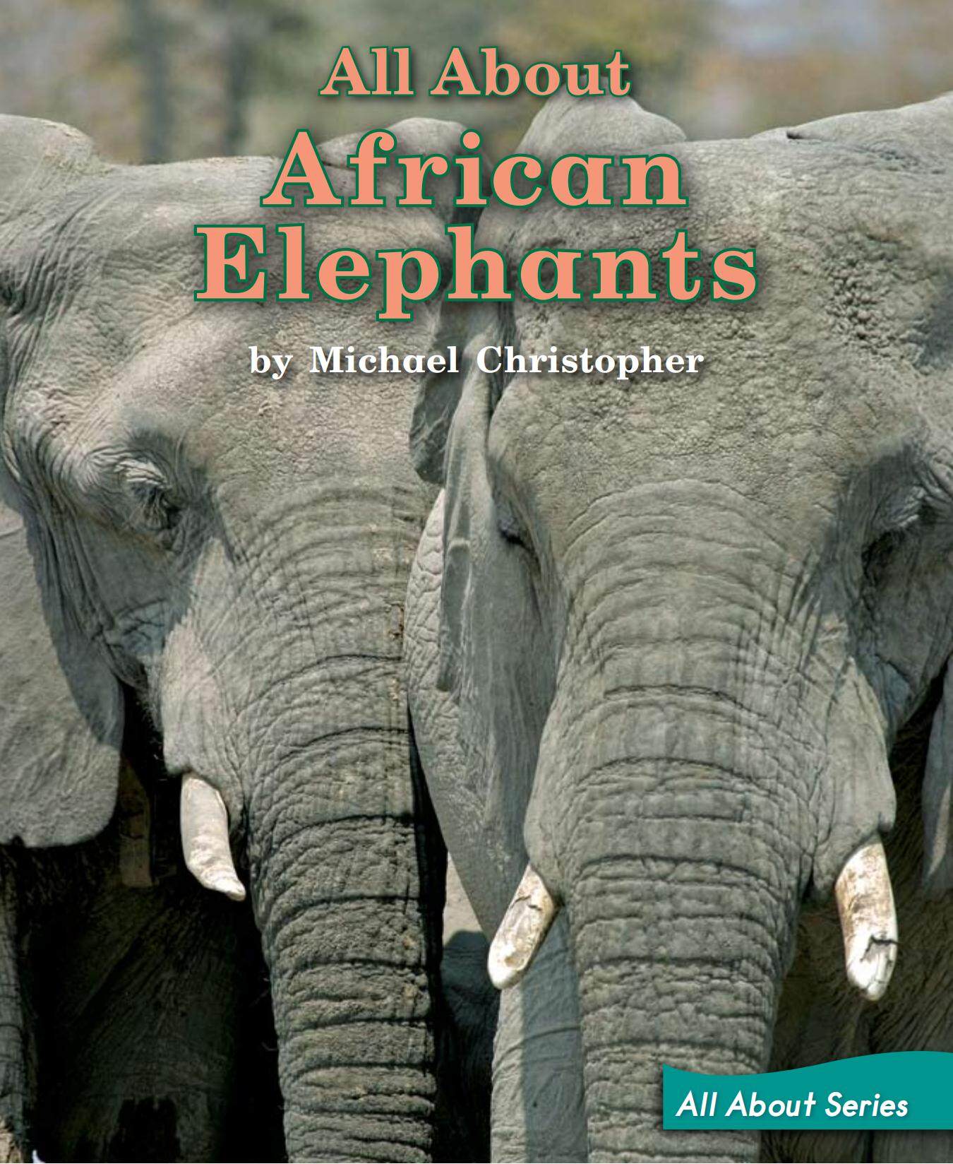 All About African Elephants绘本故事第2页