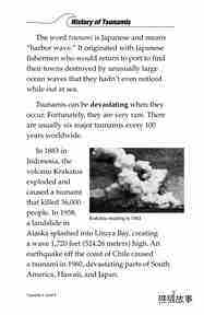 Tsunamis绘本故事第5页