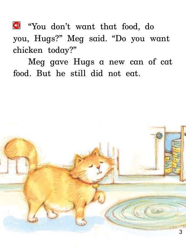 The Missing Cat绘本故事第4页