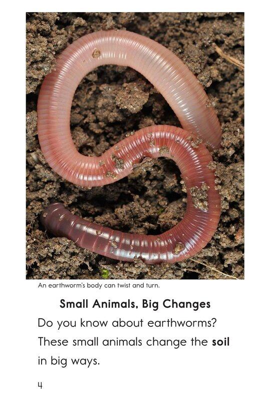 Wiggly Worms绘本故事第3页