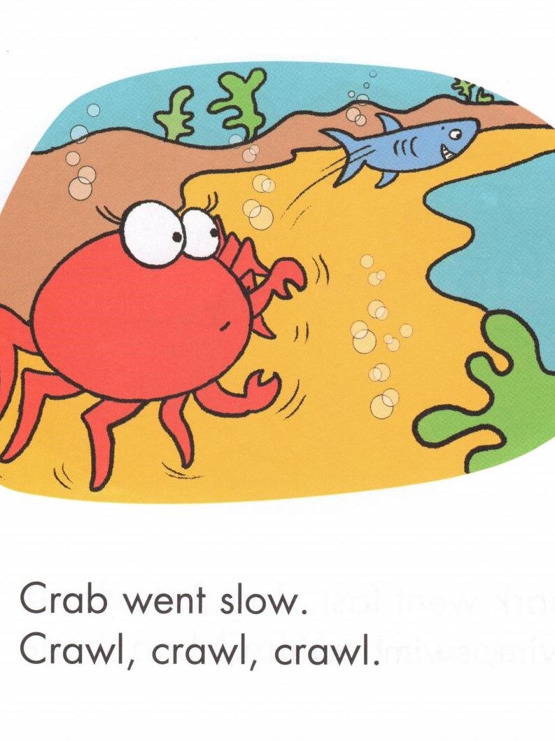 Shark and Crab绘本故事第4页