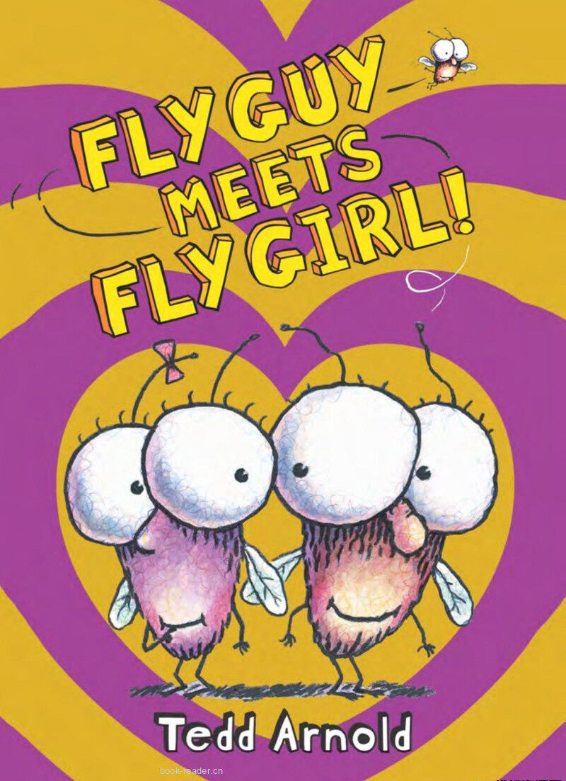 Fly Guy Meets Fly Girl 绘本故事第2页