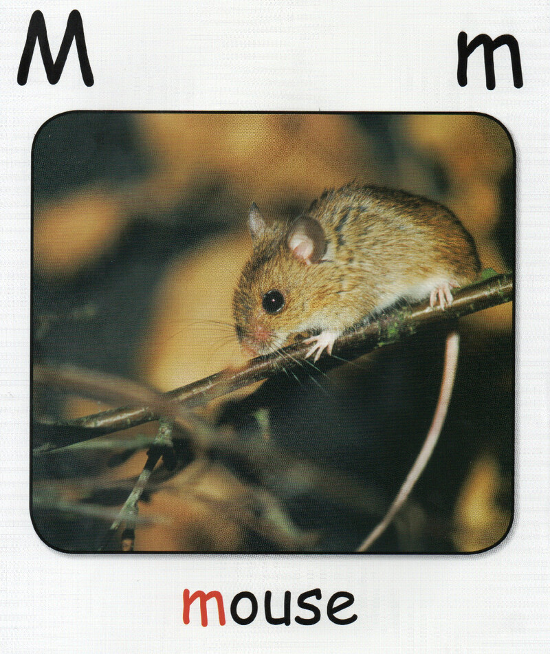 M绘本故事第4页