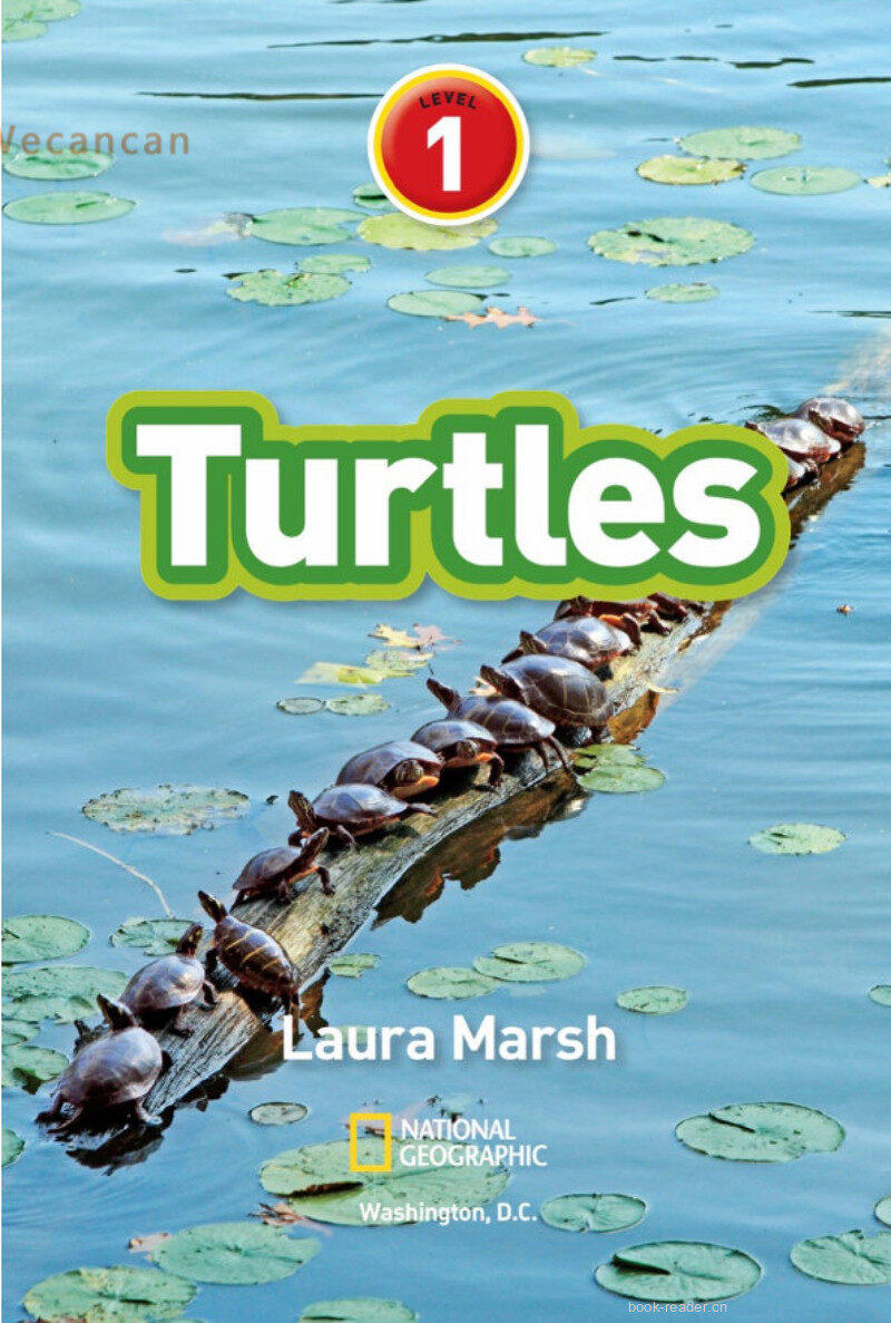 Turtles绘本故事第2页