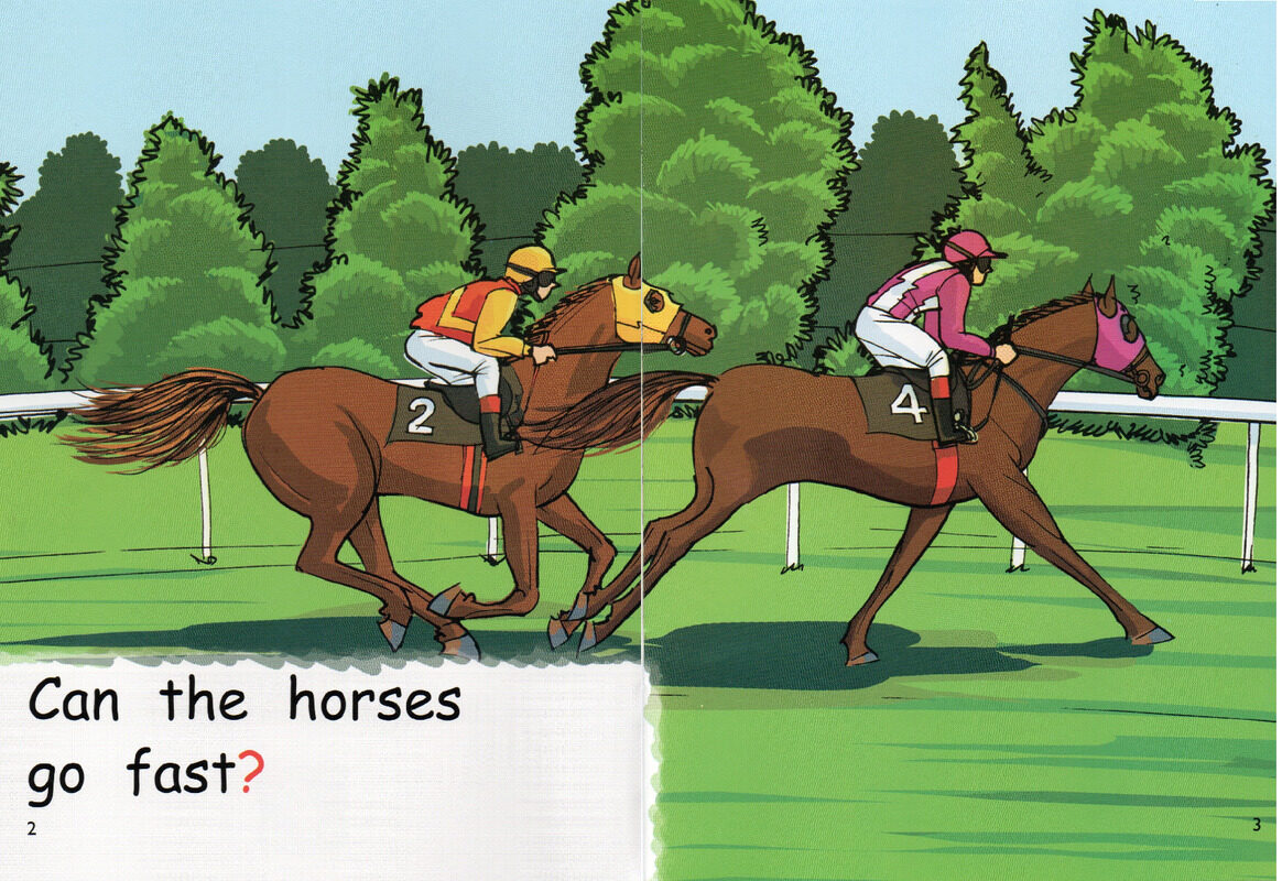 animals races绘本故事第3页