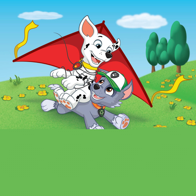 High-Flying Skye绘本故事第5页