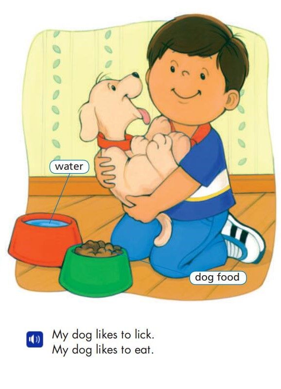 My New Pet绘本故事第3页