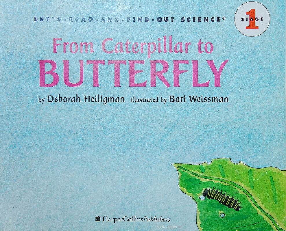From caterpillar to butterfly绘本故事第2页