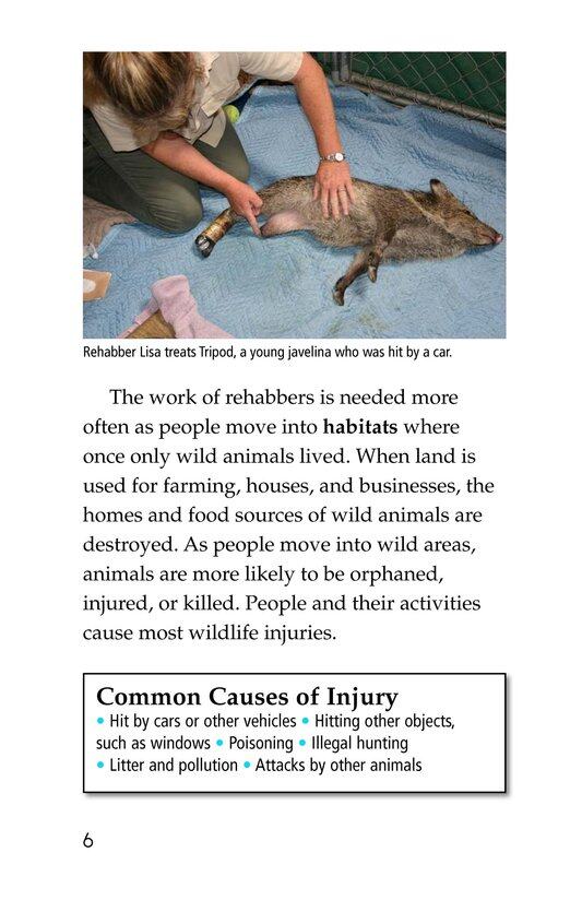 Wildlife Rescue绘本故事第5页