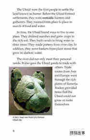 Ancient Mesopotamia绘本故事第5页