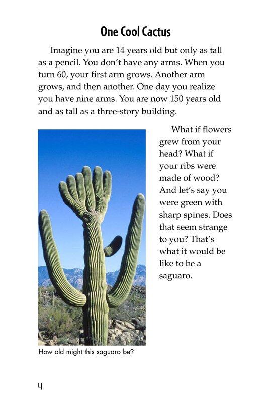 The Mighty Saguaro Cactus绘本故事第3页