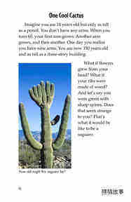 The Mighty Saguaro Cactus绘本故事第3页
