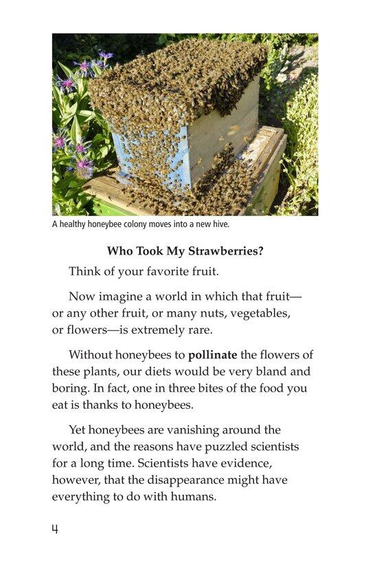 The Case of the Disappearing Honeybees绘本故事第3页