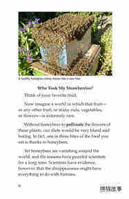 The Case of the Disappearing Honeybees绘本故事第3页