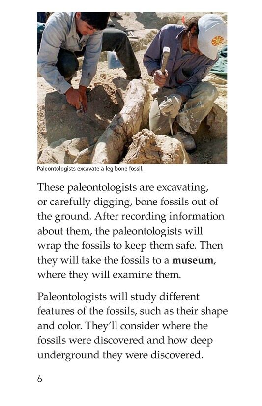 Discovering Dinosaurs绘本故事第5页
