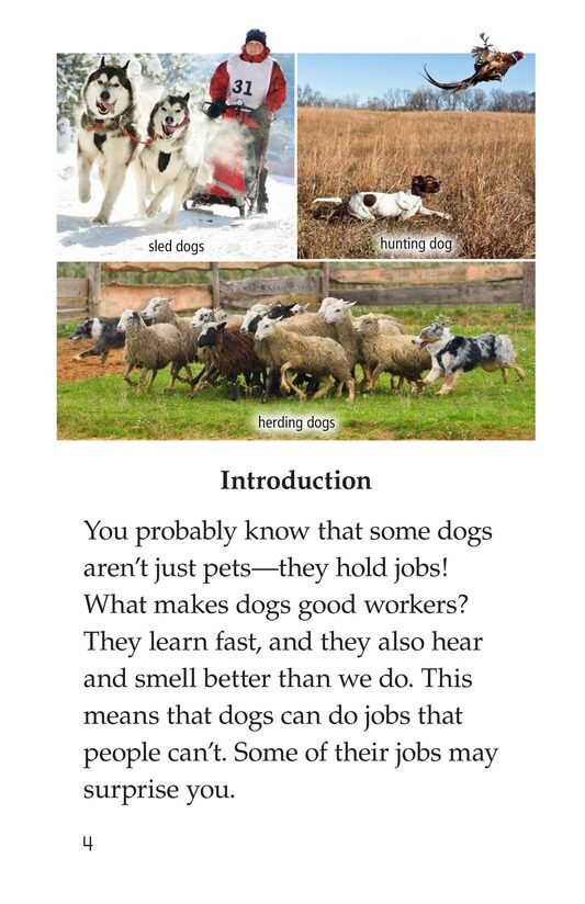 Dogs at Work绘本故事第3页