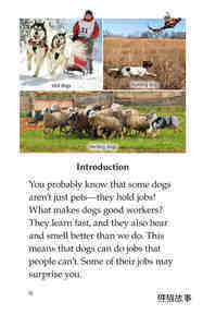 Dogs at Work绘本故事第3页