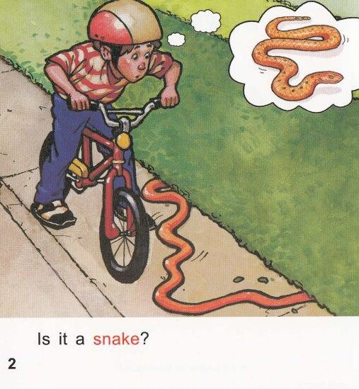 What is it绘本故事第3页