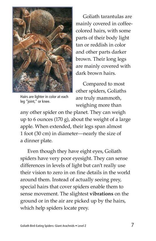 Goliath Bird Eating Spiders Giant Arachnids绘本故事第5页