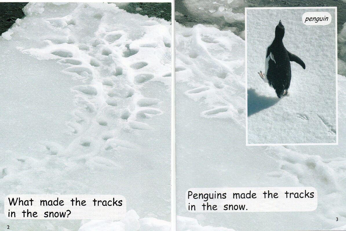 making tracks绘本故事第3页