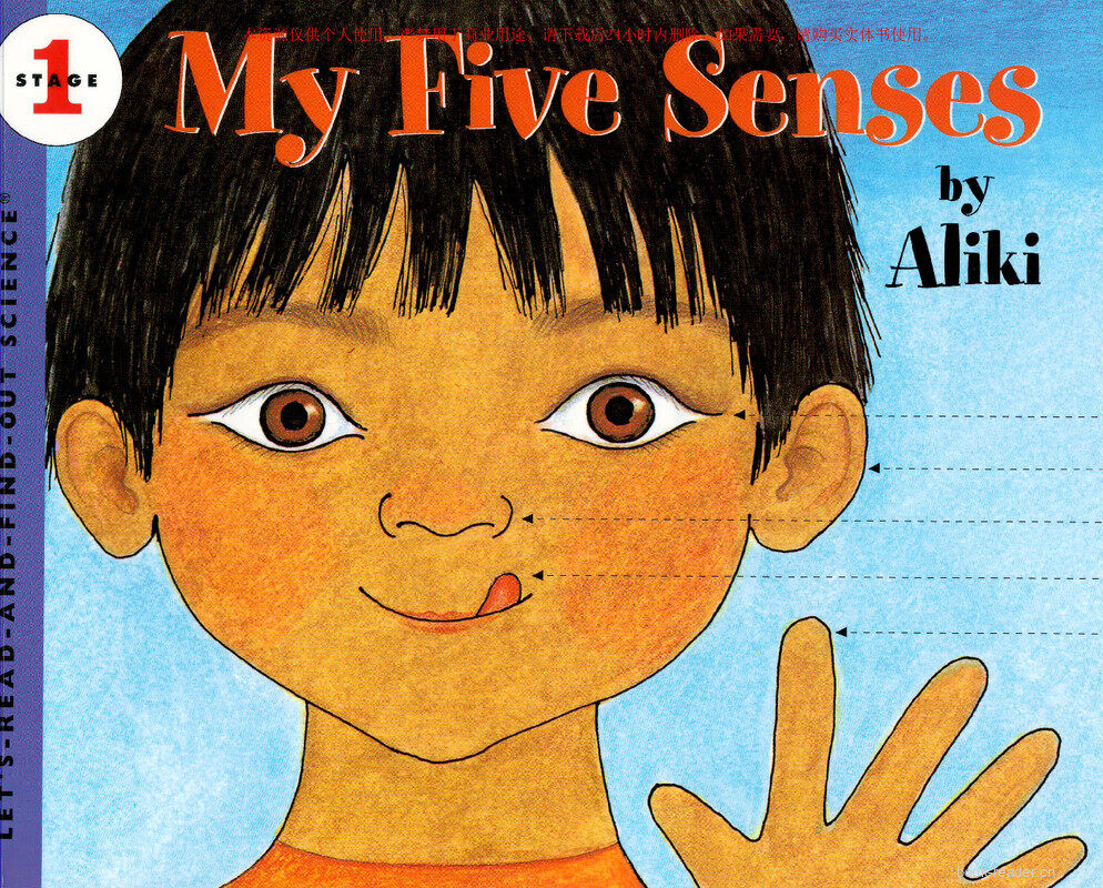 My Five Senses绘本故事第2页