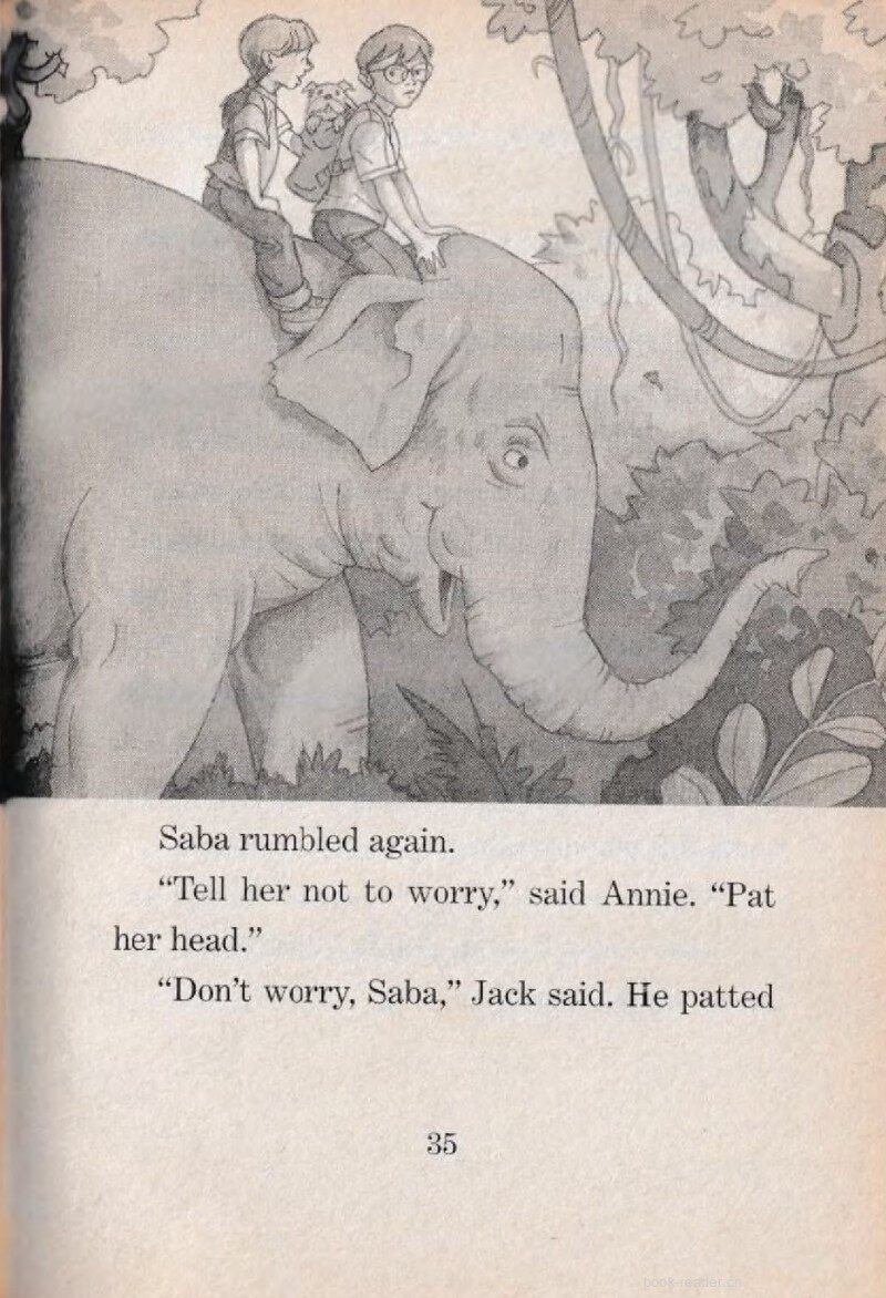 05 Night Walk绘本故事第5页