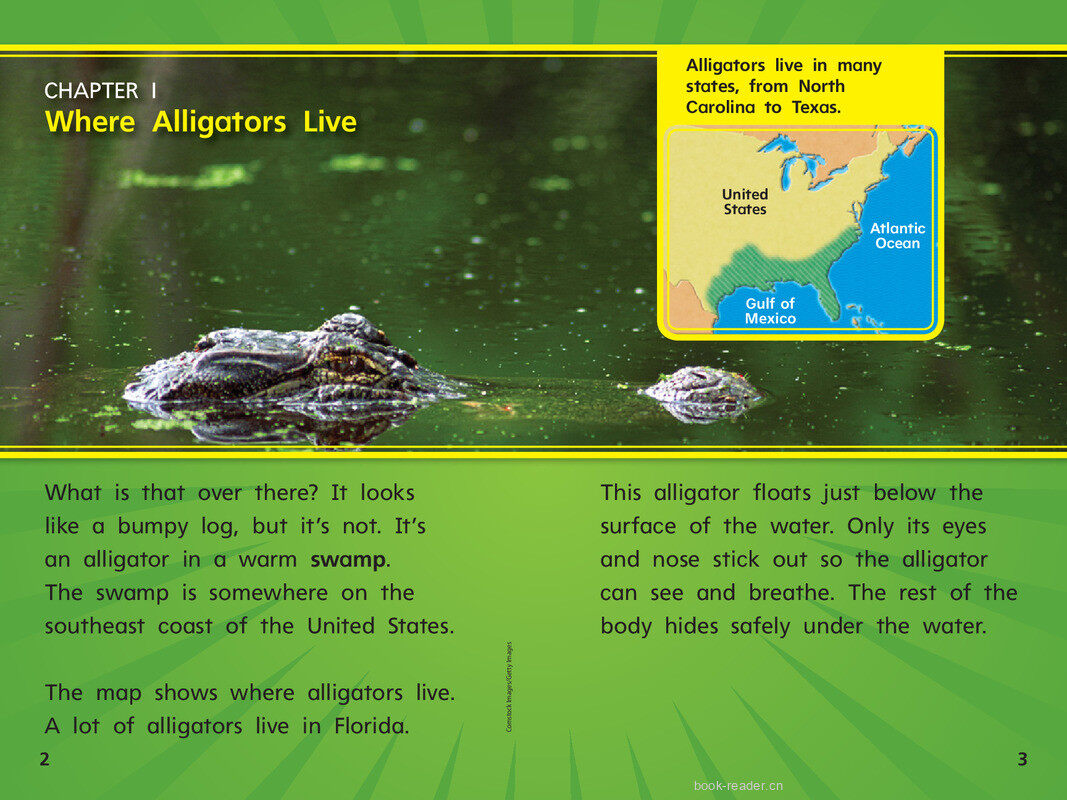 G1 Bey U4W3 Go, Gator!绘本故事第4页