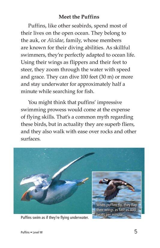 Puffins绘本故事第4页