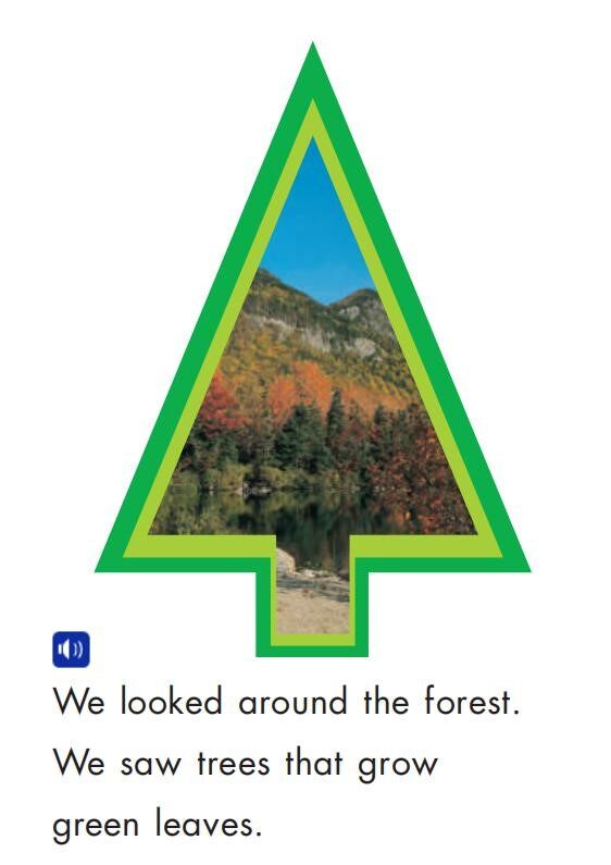 The Forest绘本故事第4页