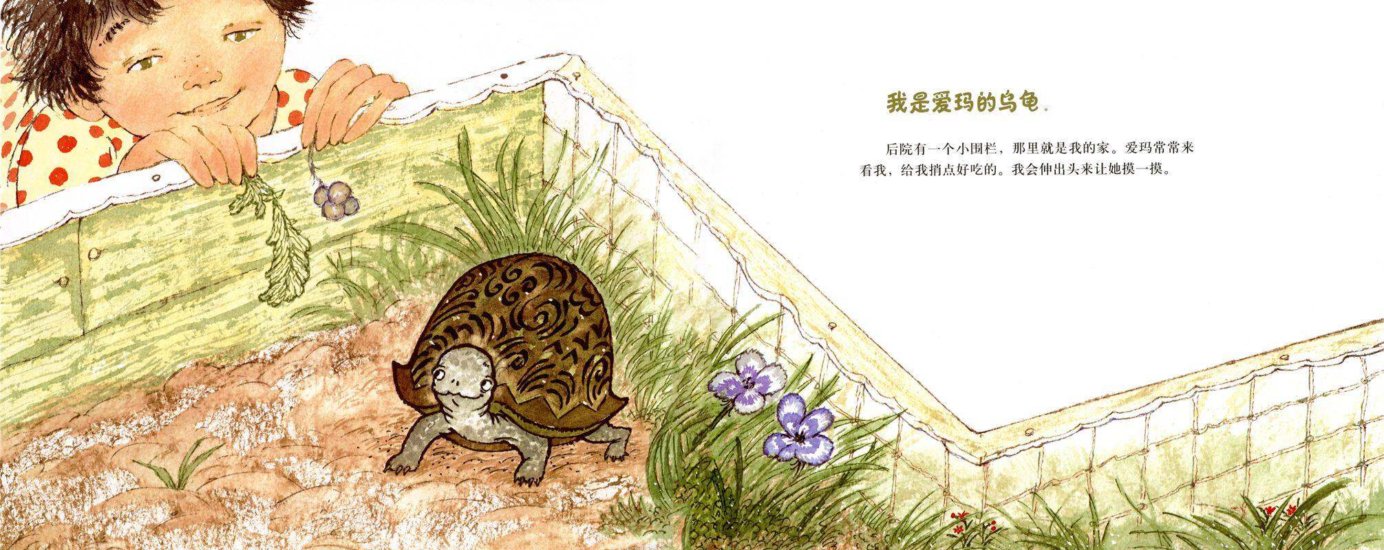 爱玛的乌龟绘本故事第2页