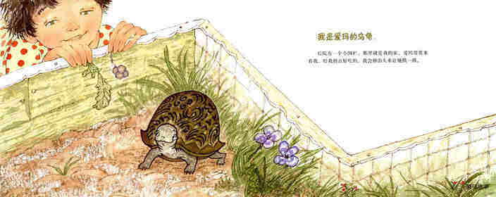 爱玛的乌龟绘本故事第2页