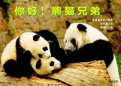亲子绘本 你好！熊猫兄弟