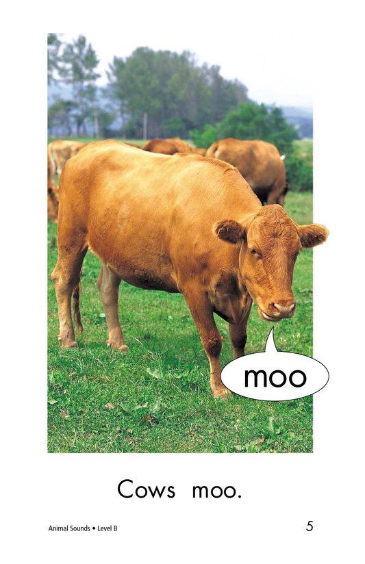 Animal Sounds绘本故事第5页