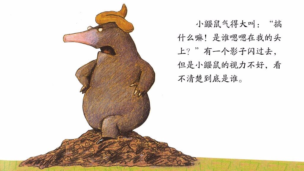 是谁嗯嗯在我的头上绘本故事第4页