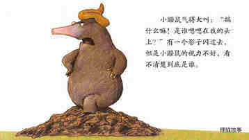 是谁嗯嗯在我的头上绘本故事第4页