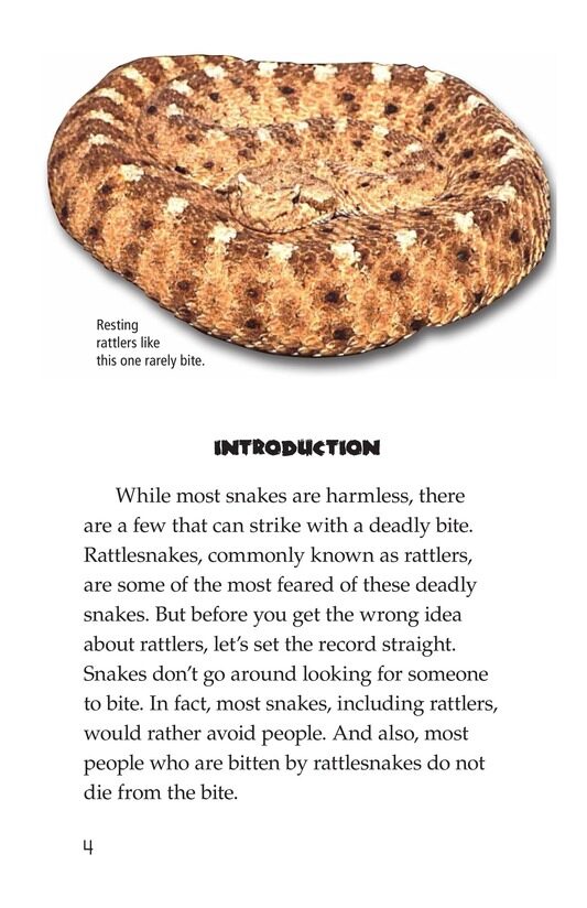 Rattlers绘本故事第3页